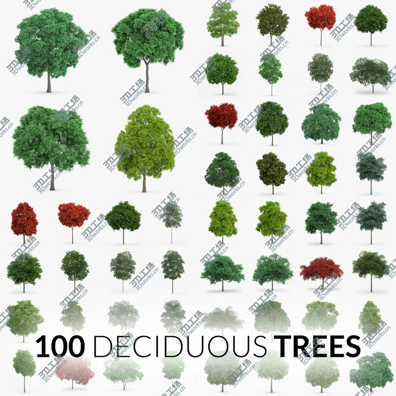 images/goods_img/202105072/Deciduous Trees Collection - 100 Trees/1.jpg